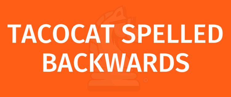 TACOCAT SPELLED BACKWARDS თამაშის წესები - როგორ ვითამაშოთ TACOCAT SPELLED BACKWARDS