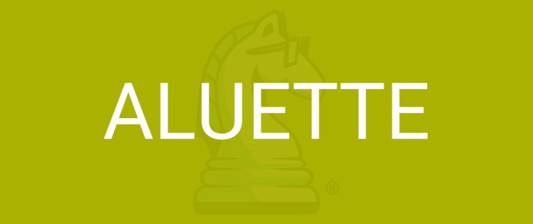 ALUETTE - Naučte sa hrať s pravidlami hry.com